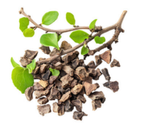 Guggul (Commiphora Mukul)